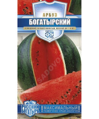 Арбуз Богатырский Арбуз Богатырский