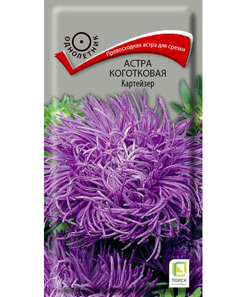 Астра коготковая Картейзер семена