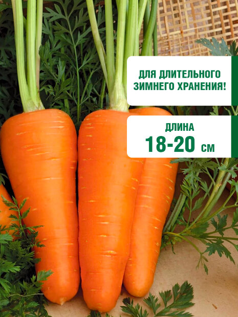 Морковь драже Шантенэ Роял семена 