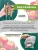 Георгин Геллери Моне (низкорослый)
