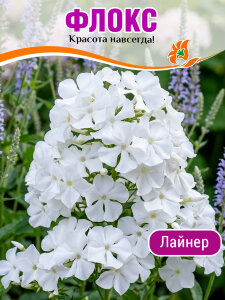 Флокс Лайнер (Р9) Флокс Лайнер (Р9)