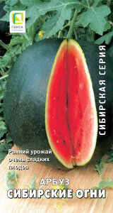 Арбуз Сибирские Огни Арбуз Сибирские Огни