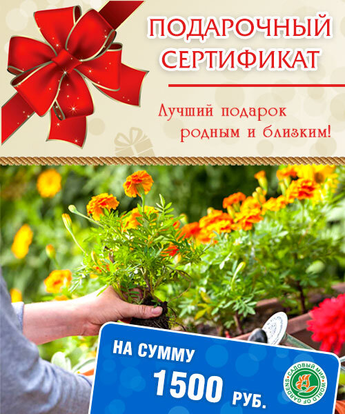 Подарочный сертификат на сумму 1500 руб
