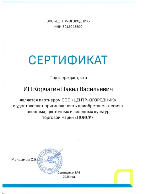 Капуста Июньская (белокочанная) семена 