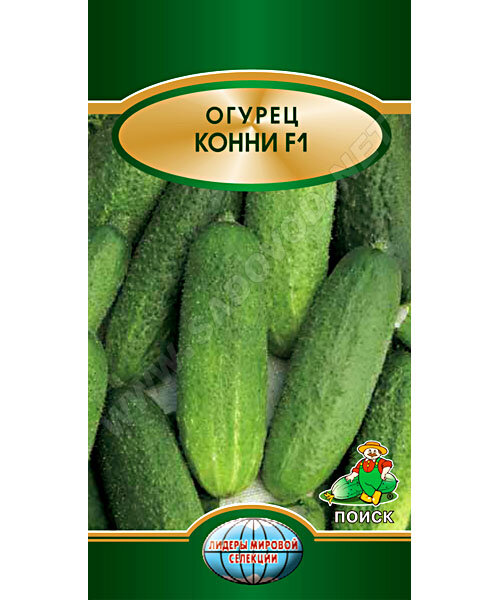 Огурец Конни F1 семена 