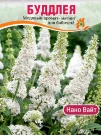 Буддлея Нано Вайт (Давида) Буддлея Нано Вайт (Давида)