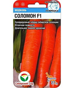 Морковь Соломон Морковь Соломон
