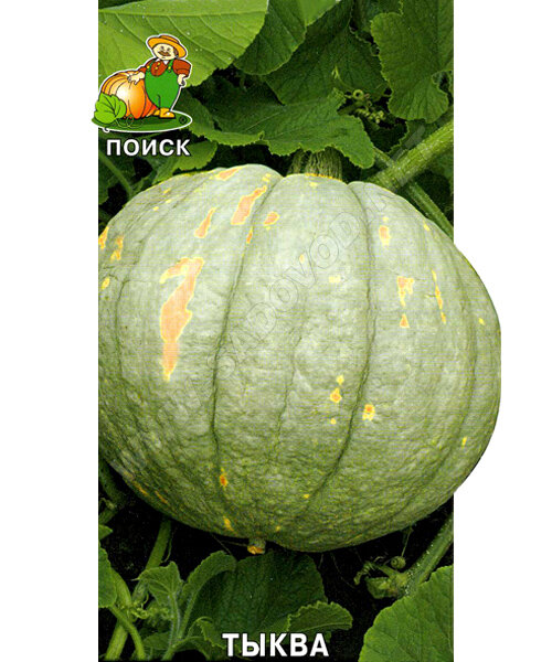 Тыква Зимняя сладкая  семена 